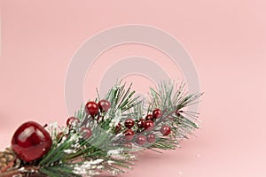 Christmas branch with red berries in frost on pink background. Copy space. Greeting card Cristmas and New Year design concept