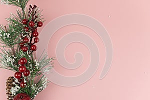 Christmas branch with red berries in frost on pink background. Copy space. Greeting card Cristmas and New Year design concept