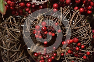 Christmas branches with red berries