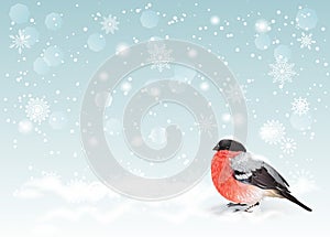 Christmas bullfinch background