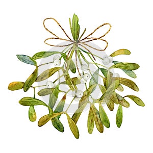 Christmas bunch of mistletoe isolated on white background