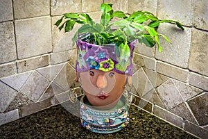 Christmas cactus succulent growing in head planter on marble counter with Tuscan tile splash behind - Decorative kitchen