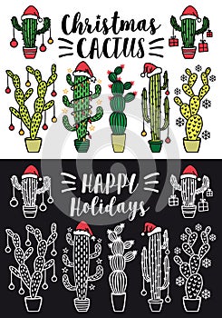 Christmas cactus, vector set