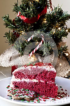 Christmas cake and decoration