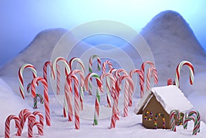 Christmas Candy Cane Forest Blue Sunset