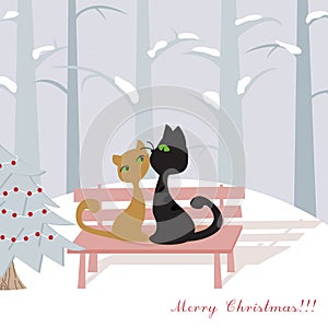Christmas card with cats
