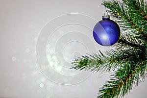 Christmas card, Christmas tree branch with a toy