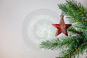 Christmas card, Christmas tree branch with a toy