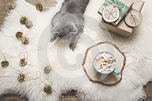 Christmas card. Cup of coffee, british cat, handmade gifts. Rest at home. Top view. Copy space. Matte image.