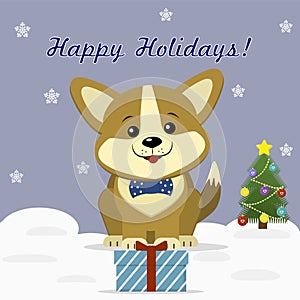 Christmas card with a cute dog Corgi