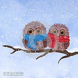 Christmas card with cute owls