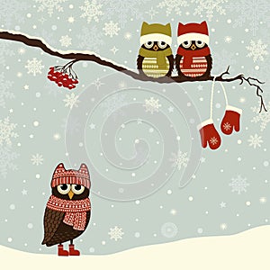 Christmas card with cute owls in winter