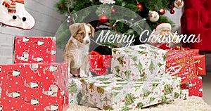 Christmas card with cute puppy on bokeh background.