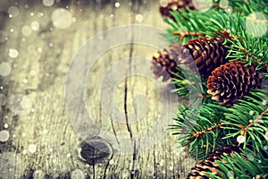 Christmas card of fir tree and conifer cone on rustic wooden background