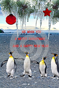 Christmas card, four singing penguins wishing Merry Christmas, happy New Year. Concept of beeing together brings joy, happiness