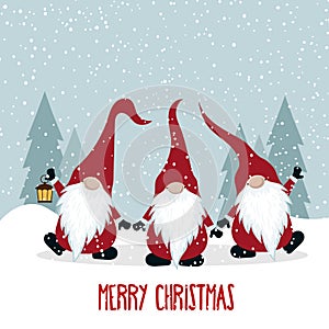Christmas card with funny gnomes photo