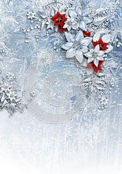 Christmas card with gorgeous winter flowers