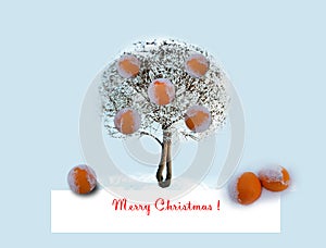 Christmas card with oranges
