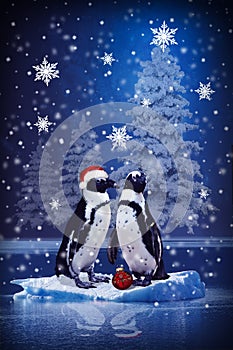 Christmas card with penguins