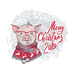 Christmas card. Portrait of the pink Pig in a red knitted nordic sweater a white background with lettering. Vector