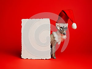 Christmas card with reindeer wearing Santa Claus hat and blank paper note with copy space on vibrant red background