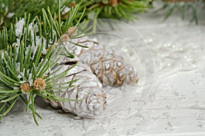 Christmas card with snow fir tree and pinecones