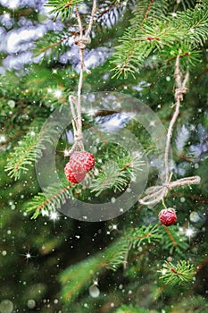 Christmas card with strawberries on a spruce branch. Snow.