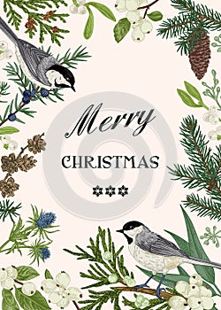 Christmas card with two birds.