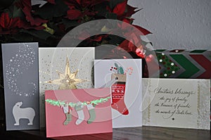Christmas Cards and Poinsettia Plants