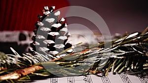 Christmas carols with pine cones and needles winter display