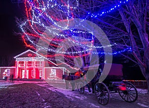 Christmas Carriage Ride