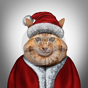 Christmas Cat