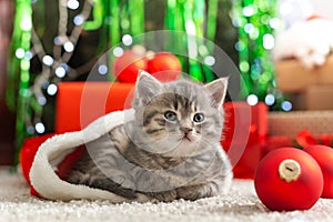 Christmas Cat. Beautiful little tabby kitten in red Santa Claus hat near Christmas red gift boxes, decorations and chrismas tree