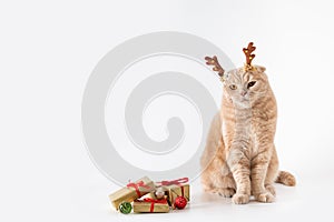 Christmas cat. Funny kitten wearing deer horns on white background with Christmas presents. Cute Christmas greeting card with a