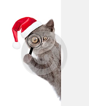 Christmas cat in red hat looks thru a magnifying lens. Isolated on white background