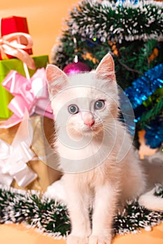 Christmas cat in red santa`s hat near christmas tree