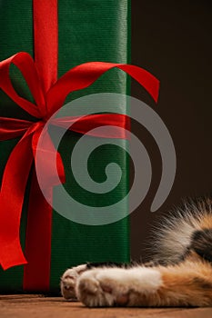 Christmas cat sitting on a wooden background with Christmas presents. Copy space. Christmas sale banner, postcard