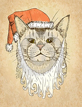 Christmas Cat. Vector illustration, eps10.