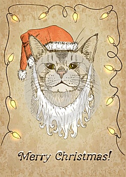 Christmas Cat. Vector illustration, eps10.