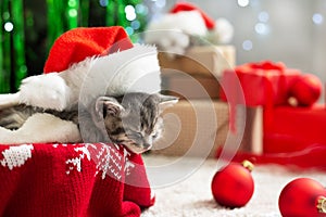 Christmas cat wearing Santa Claus hat sleeping on plaid under christmas tree with blurry festive decor. Adorable little tabby