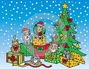 Christmas Cats