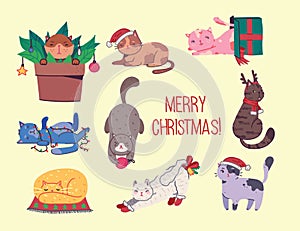 Christmas cats, Merry Christmas illustration of cute cats with accessories like a knited hat, sweater