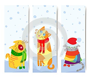 Christmas cats