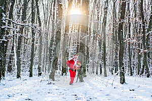 Christmas Celebration holiday. Santa in the winter field. Santa Claus in red costume walk in winter forest. Winter park