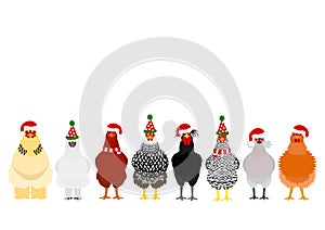 Christmas chickens border