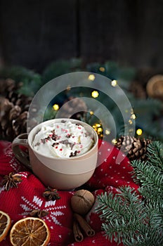 Christmas chocolate with cream, spices, walnuts and knitted pullover.