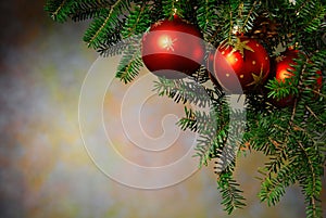 Christmas with the Christmas tree