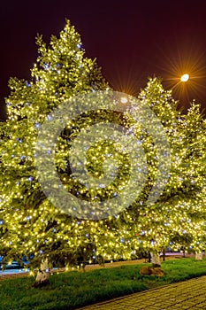Christmas city decorations - christmas tree and lights garlands at night, New York City, USA