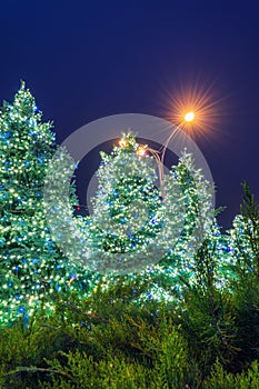 Christmas city decorations - christmas tree and lights garlands at night, New York City, USA