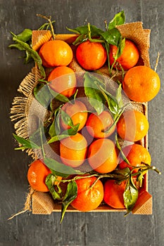 Christmas Clementines